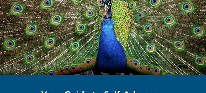 Your Guide to Self-Advocacy cover image