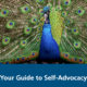 Your Guide to Self-Advocacy cover image