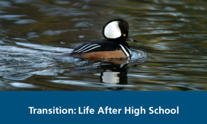 Cover image for Transition: Life After Highschool online course